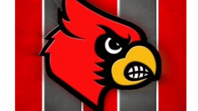 Mayfield Cardinals Vie for Another State Football Championship Today