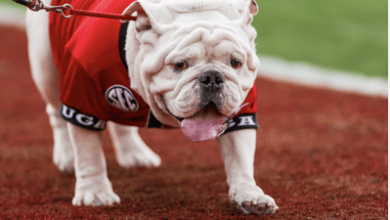 REPORT: Georgia Bulldogs’ 2024 Football Schedule Unveiled