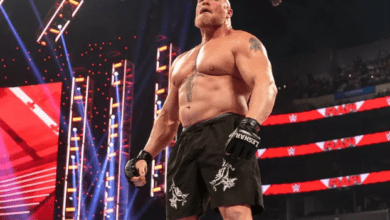 WWE Stock Watch: A Pivotal Turn for Brock Lesnar Signals Changes in the Landscape