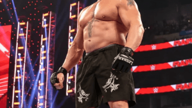 The Role of Brock Lesnar in Janel Grant’s Lawsuit Against Vince McMahon and WWE