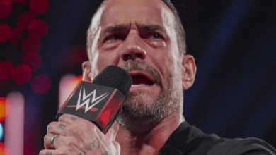 CM Punk’s Potential Role on WWE TV During Injury Rehab